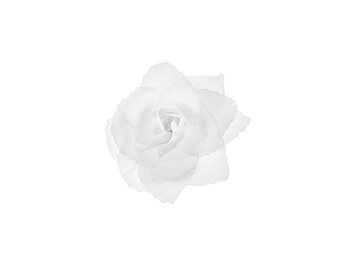 24 bloemen 7cm