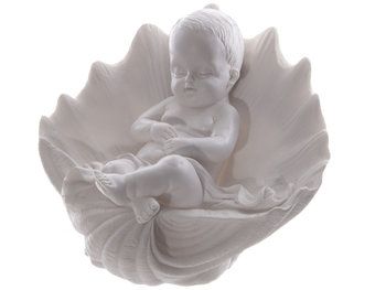 Baby in schelp groot