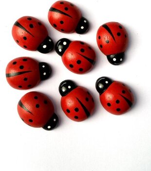 Lieveheersbeestje 24 stuks