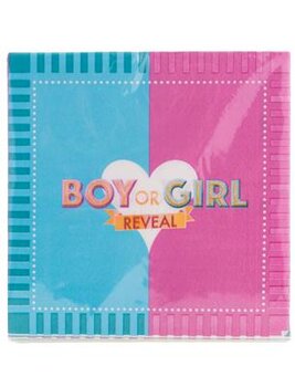 servetten gender reveal