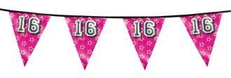vlaglijn sweet 16