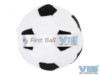voetbal